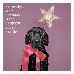 No, Really... Your Birthday Is The Happiest Day Of My Life. Birthday Greeting Card 