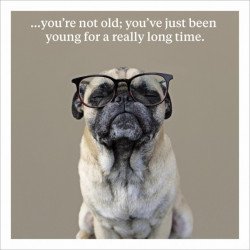 You're Not Old Birthday Greeting Card 