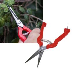 Amtech Precision Stainless Steel Secateur 8" 200mm Pruning Secateurs Shears Pruners