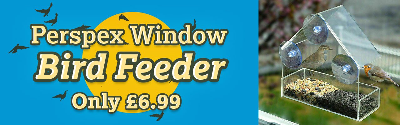 Redwood Perspex Window Bird Feeder - Only £6.99 delivered