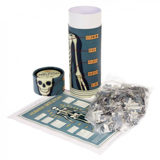 Rex London Anatomical Skeleton 300 Piece Puzzle In A Tube