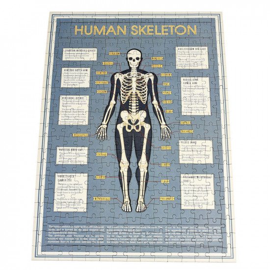 Rex London Anatomical Skeleton 300 Piece Puzzle In A Tube