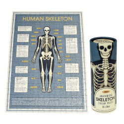Rex London Anatomical Skeleton 300 Piece Jigsaw Puzzle In A Tube
