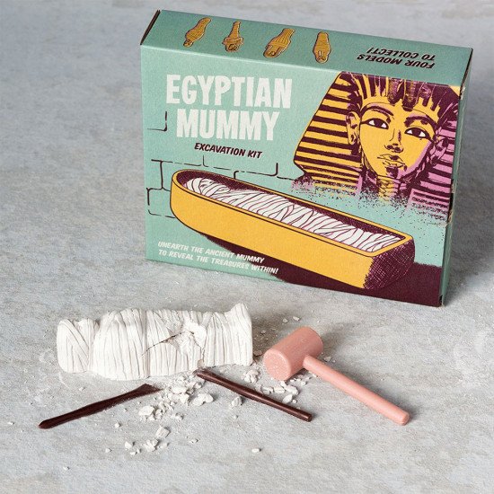 Rex London Egyptian Mummy Archaeologists Excavation Kit