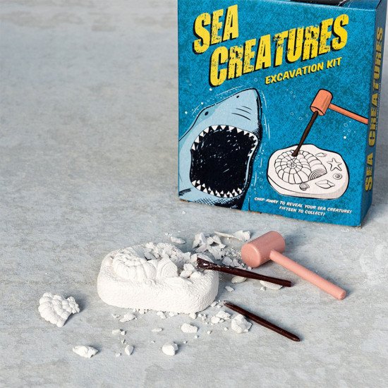 Rex London Sea Creature Fossil Excavation Kit