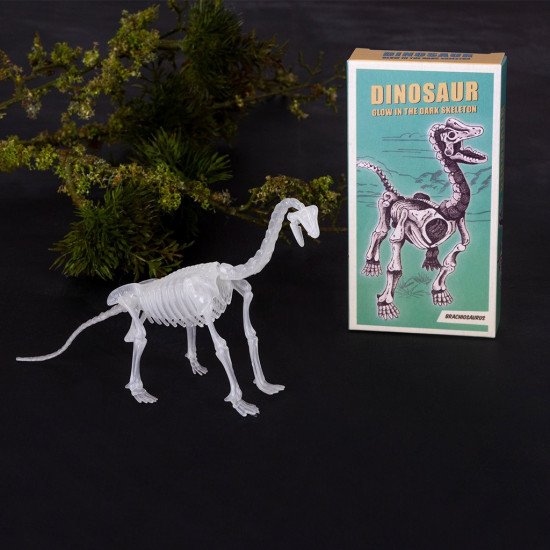 Rex London Dinosaur Skeleton Kit Brachiosaurus