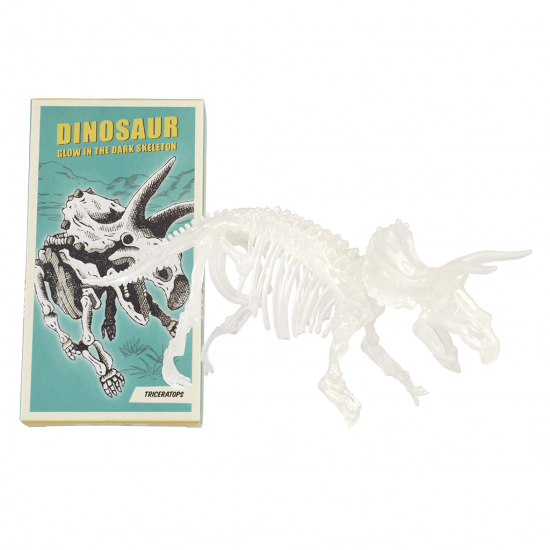 Rex London Dinosaur Skeleton Kit Triceratops