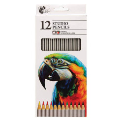 Chiltern Wove Studio Colouring Pencils 12PK 
