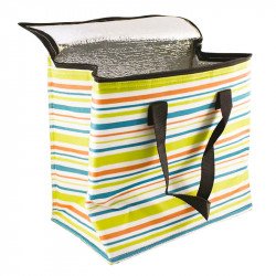 Insulated 13.8L Cooler Bag with Handles - Stripey