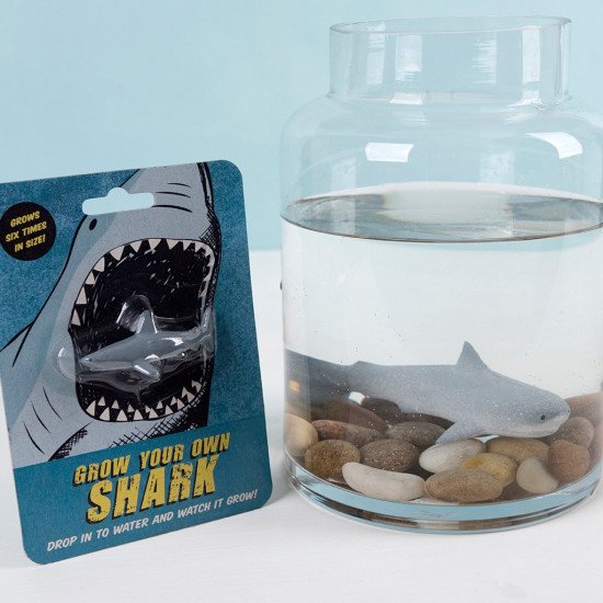 Grow Your Own Shark Toy