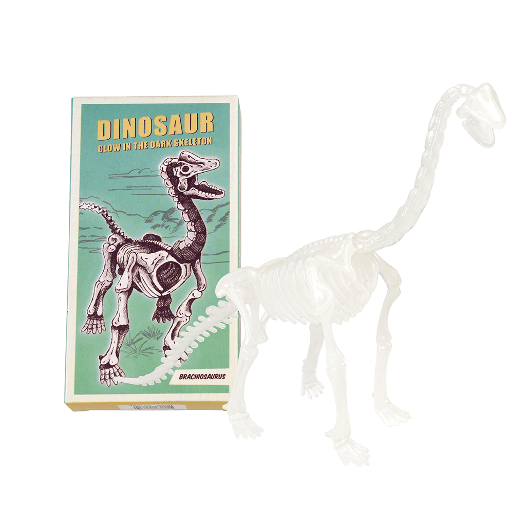 Rex London Dinosaur Skeleton Kit Brachiosaurus